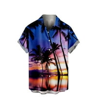 Jsaierl Mens Hawaiian Rishes Summer Tropical Print Rish Редовно прилепване на ризи с къси ръкави с голям и висок алоха риза отгоре за плажна ваканция