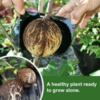 Кутията за отглеждане на корен за растения Въздушни шушулки за бързо разпространение на топка за присаждане на растения със сигурни брави