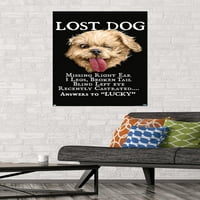 Джим Болдуин - Плакат за стена на изгубени куче, 22.375 34