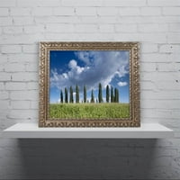 Изобразително изкуство 'облаци от кипарис хил' платно изкуство от Майкъл Бланшет фотография, Златна орнаментирана рамка
