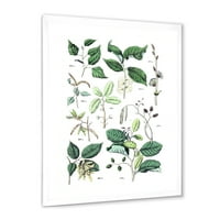Дизайнарт' древна Ботаника ' традиционна рамка Арт Принт