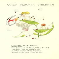 Деца от диво цвете c. Обикновен отпечатък от плакат за плевели от Джанет Лора Скот