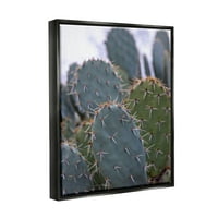 Ступел индустрии бодлив кактус тръни затвори фотография пустинна растителност снимка джет черно плаваща рамка платно печат стена изкуство, дизайн от Джеф по фотография