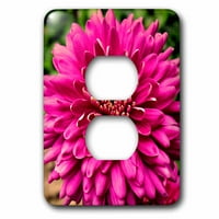 3Drose Pink Jenna Dahlia Flower - капак на изхода на щепсела