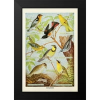 Babbitt, Gwendolyn Black Modern Framed Museum Art Print, озаглавен - Bird Chart III