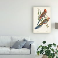 Изобразително изкуство' тропически папагали втори ' платно изкуство от Джон Гулд