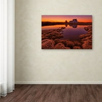 Платно на търговска марка „Purple Sunset“ от Bragi Ingibergsson