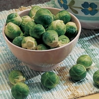 Burpee Catskill Brussels Sprouts Seeds-Non-GMO, Heirloom зеленчукови градинарски семена, 180mg 1-пакет