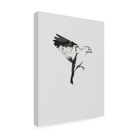 Изобразително изкуство 'летяща птица и' платно изкуство от Инкадо