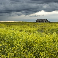 Жълта сладка детелина и стара изоставена ферма в близост до лидер, печат на плакат Саскачеван