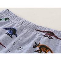 хиригин малко дете момчета попадат панталони комплект дълъг ръкав динозавър тениска екипировки комплект