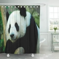 Ailuropoda тържествена панда мечка melanoleuca американски декор за баня за баня за баня душ завеса