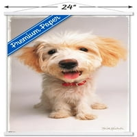 Кийт Кимбърлин - Плакат за стена на кученца с дървена магнитна рамка, 22.375 34