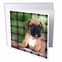 3црос Бриндъл Боксер кученце, поздравителни картички,, комплект от 12