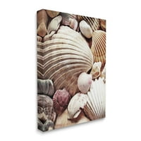 Спелил различни морска мида раковина черупки ландшафтна фотография галерия опакована платно за печат стена изкуство